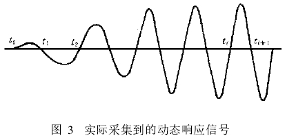 图 3　实际采集到的动态响应信号