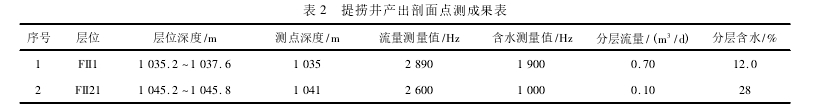 表 2 提捞井产出剖面点测成果表