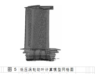 图 5	低压涡轮动叶计算模型网格图