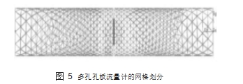 图 5	多孔孔板流量计的网格划分