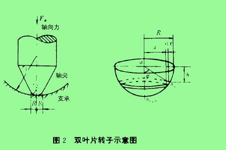 图2双叶片转子示愈图