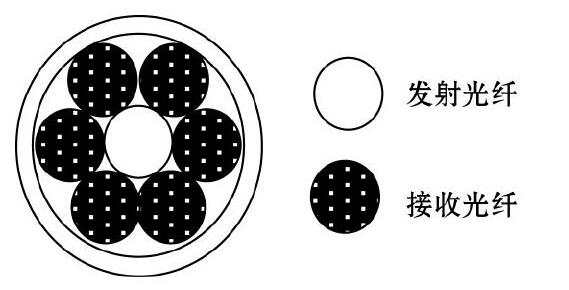 图2 光纤探头光纤束排列方式