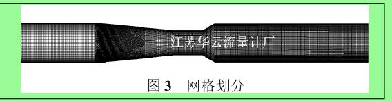 图 3 网格划分