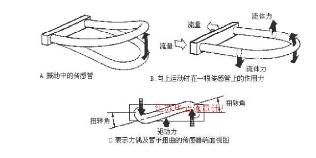 图2 科氏质量流量计测量管振动示意图Fig.2 Schematic diagram of measuring tube vibration of coriolis mass flowmeter