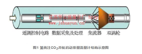 图1 笼统注CO2井低启动排量流量计结构示意图