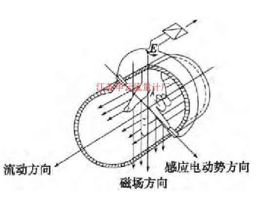 图2 磁场示意图